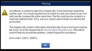 Quickbooks error 6073